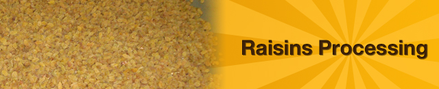 raisins-processing
