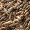 turmeric-raw-material-storage